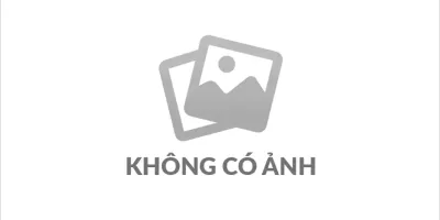 giới thiệu